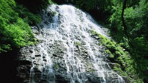 高标准高效智能